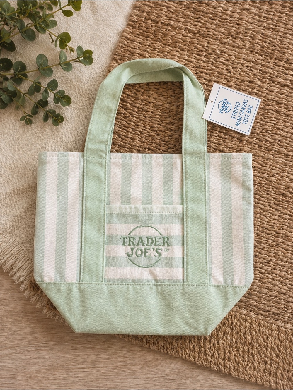 Trader Joe's Striped Mini Canvas Tote Bag in the beautiful pastel mint green col